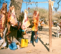 Köttmarknad i Norra Namibia, 40° i skuggan.